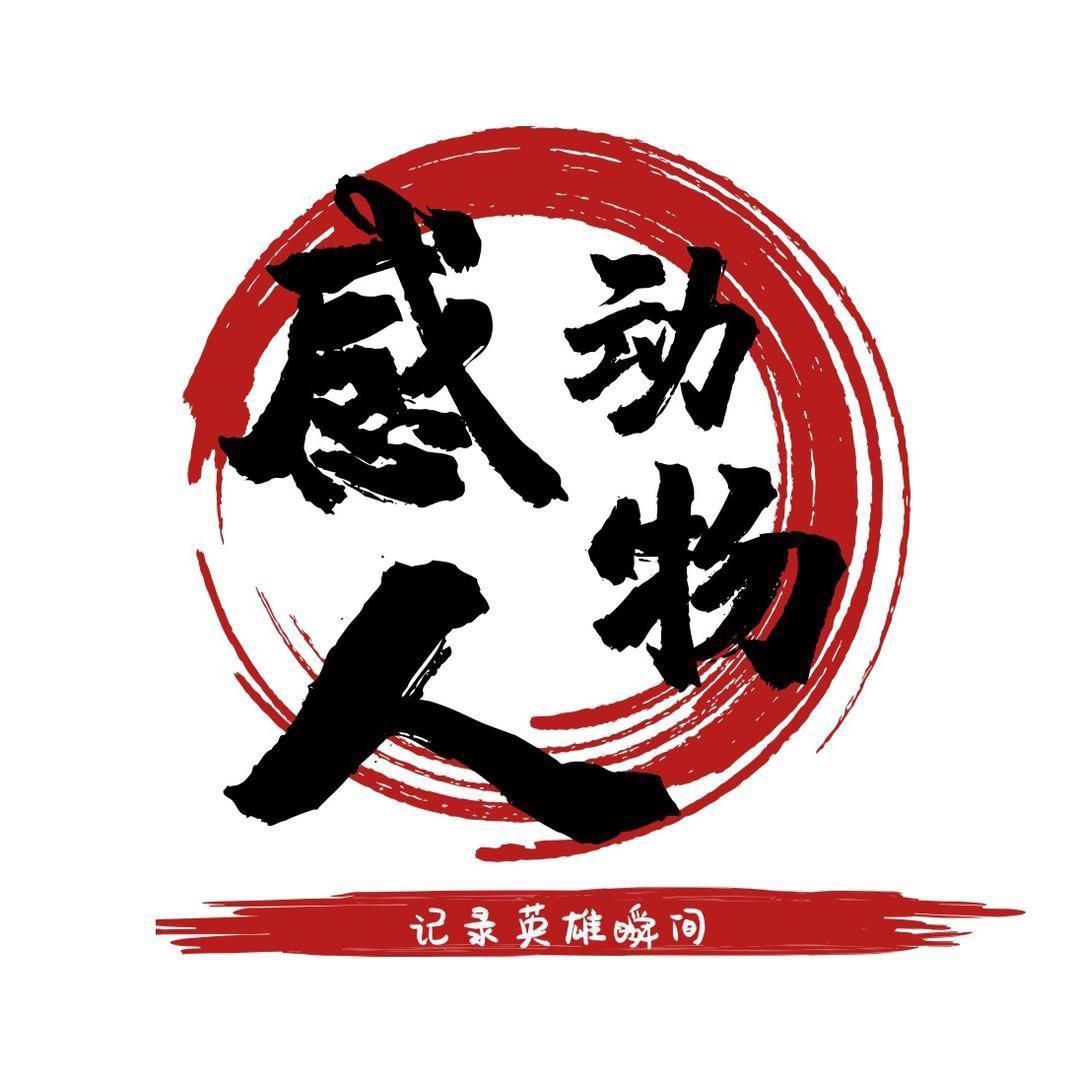 感动人物
