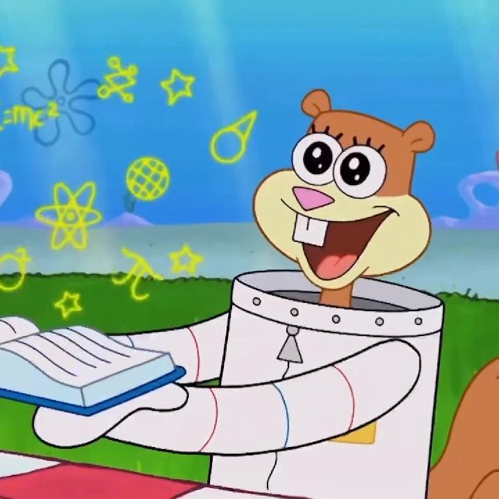 珊迪迪迪