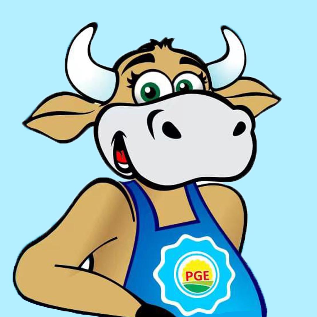 阿根园甄选牛肉