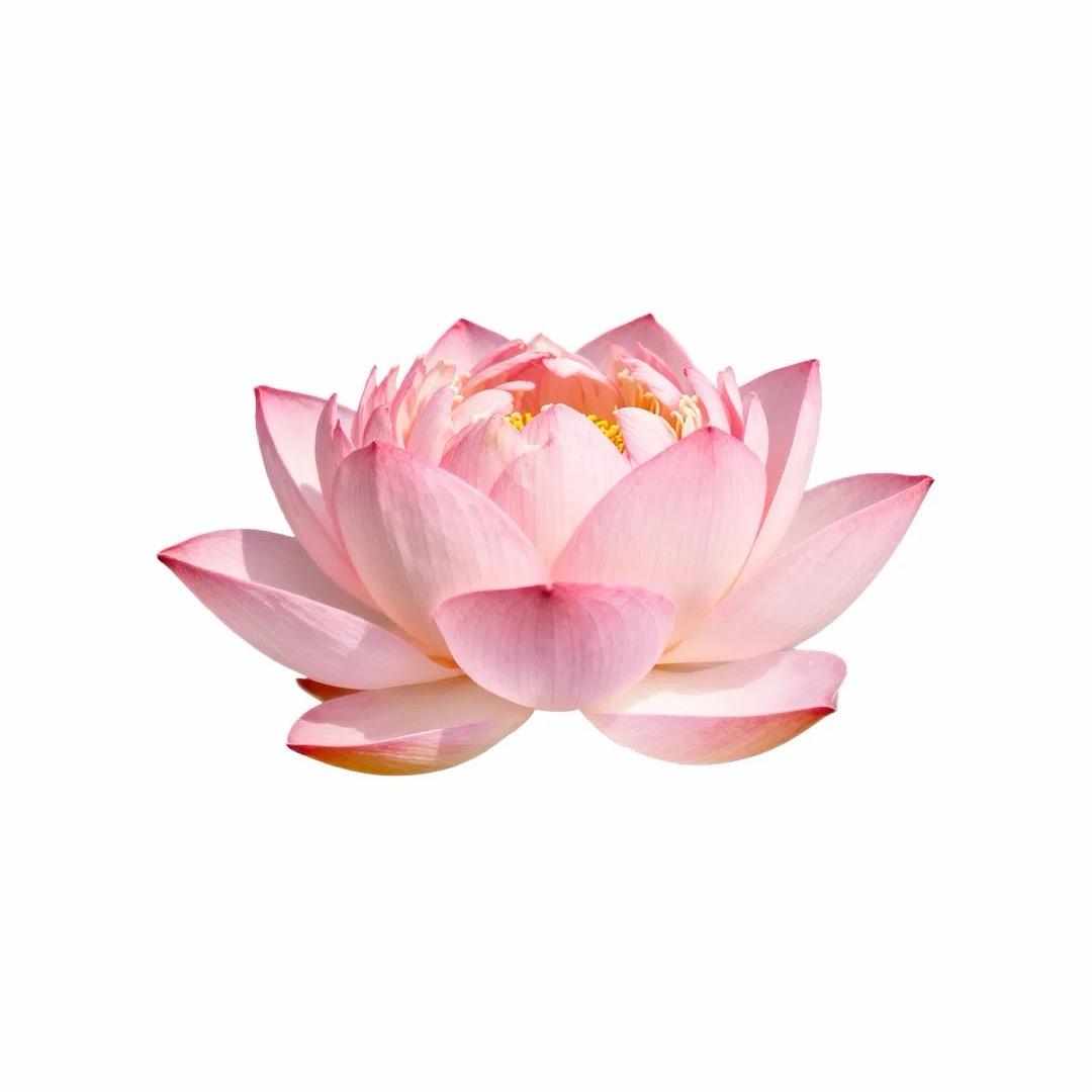 我叫缘分