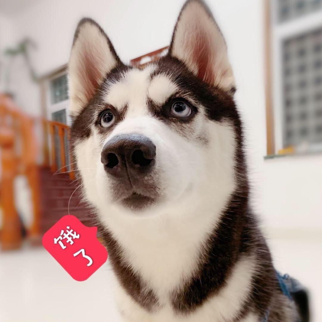 ℳঞ ꦿ李 ໌້ᮨ꧔ꦿ᭄💕