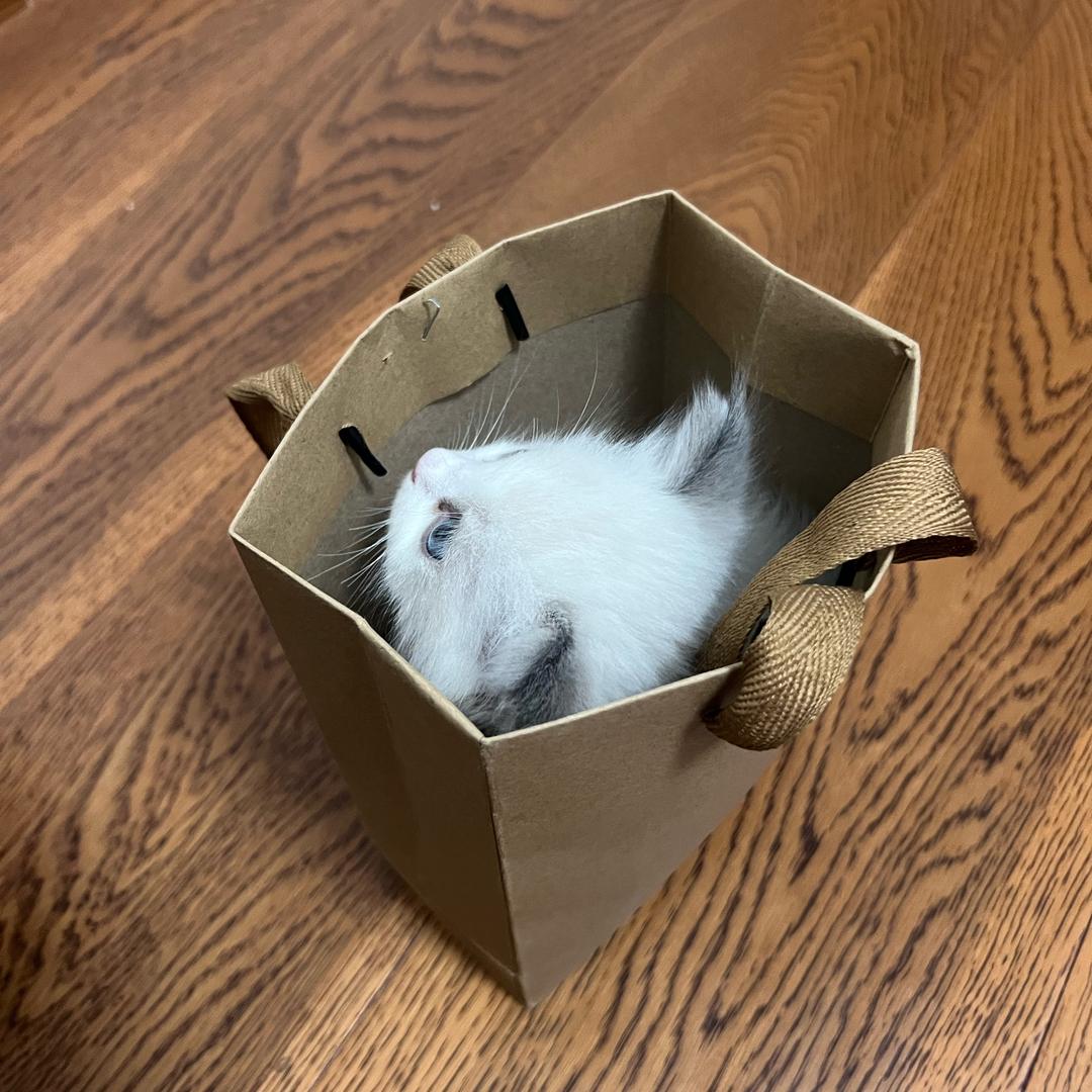 逐梦