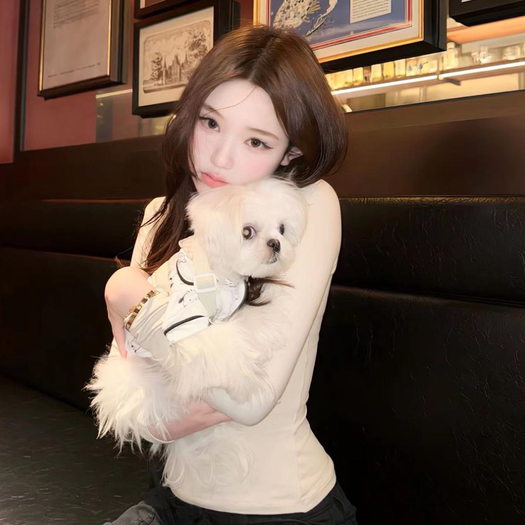 根本是屎拌神经