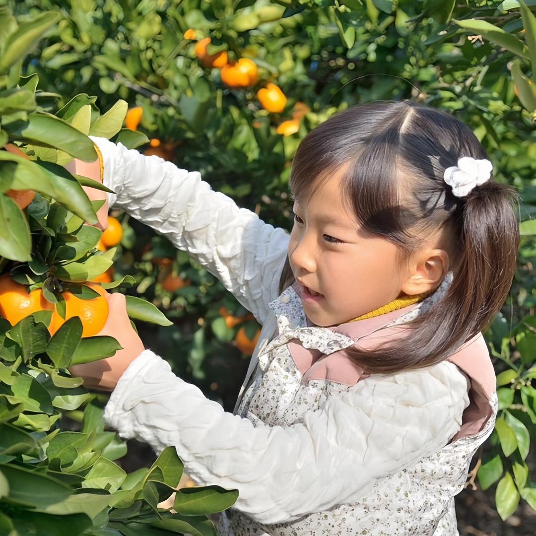 薯大户生鲜