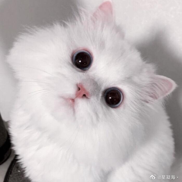 大耳朵一一