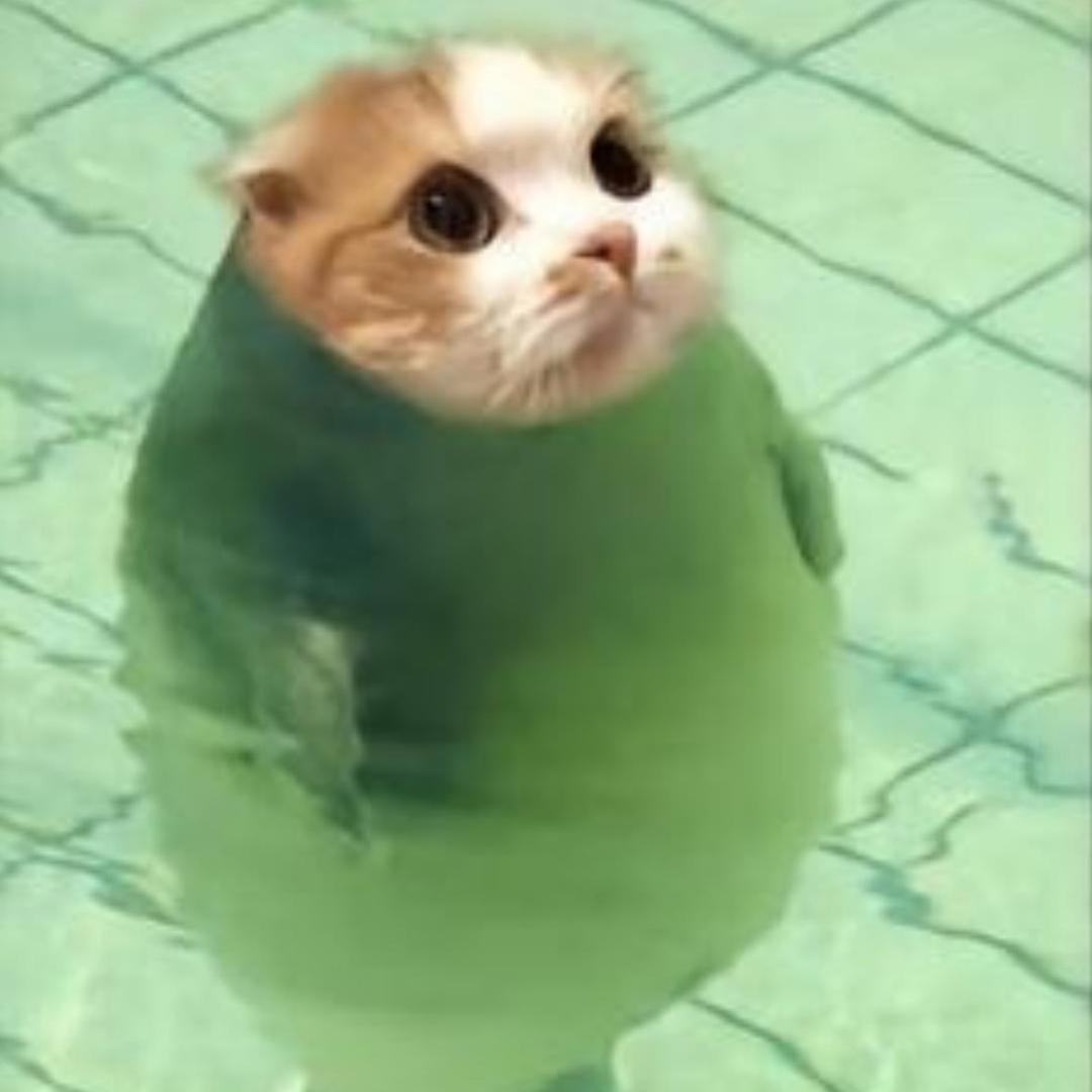 香菜好困