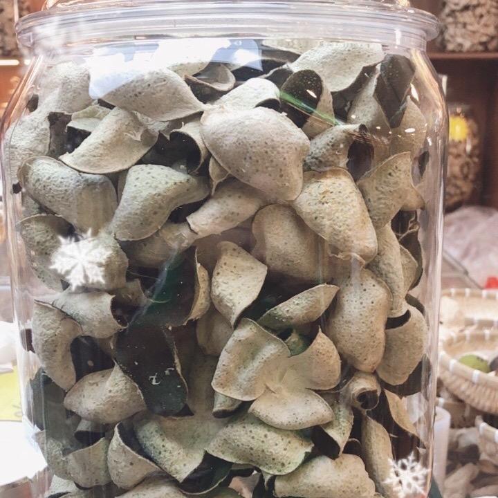 小宝贝