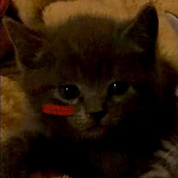 提醒我喝水谢谢