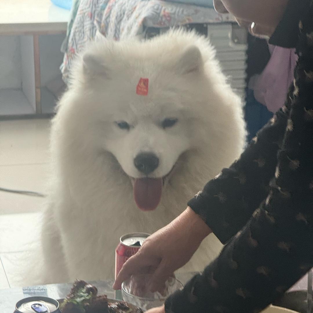 百万