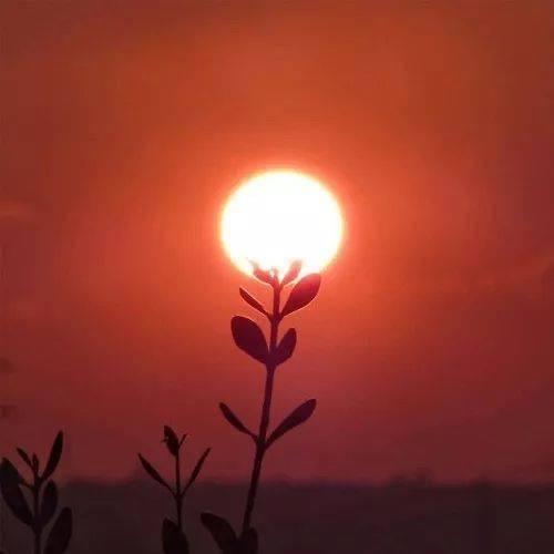 🐯🐯🐯🐯🐯🐯