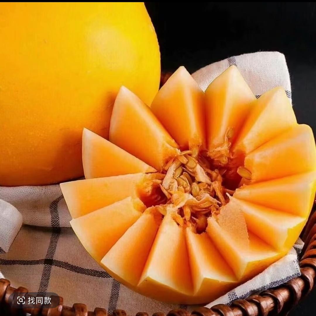 布丁🍮