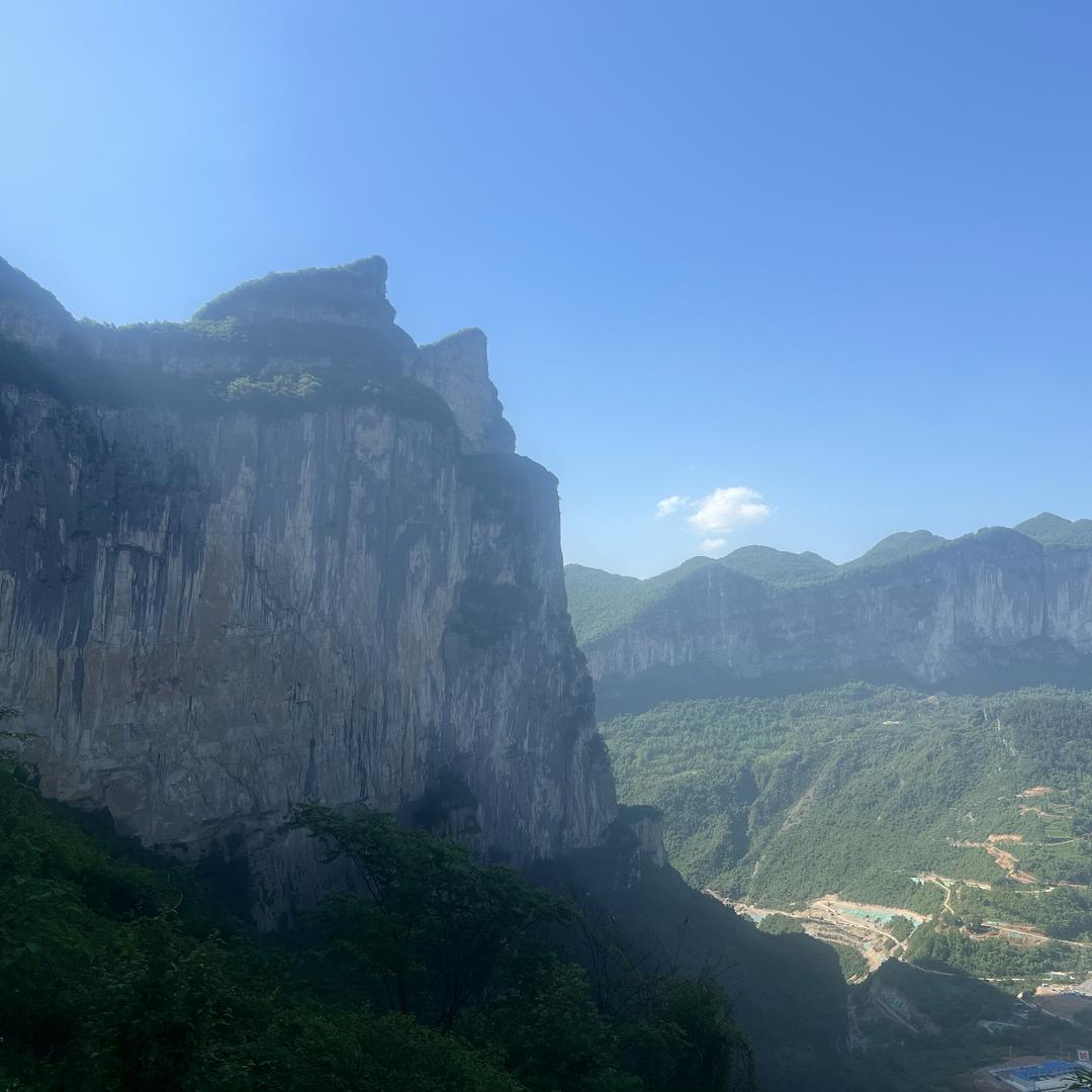 你想我想不想