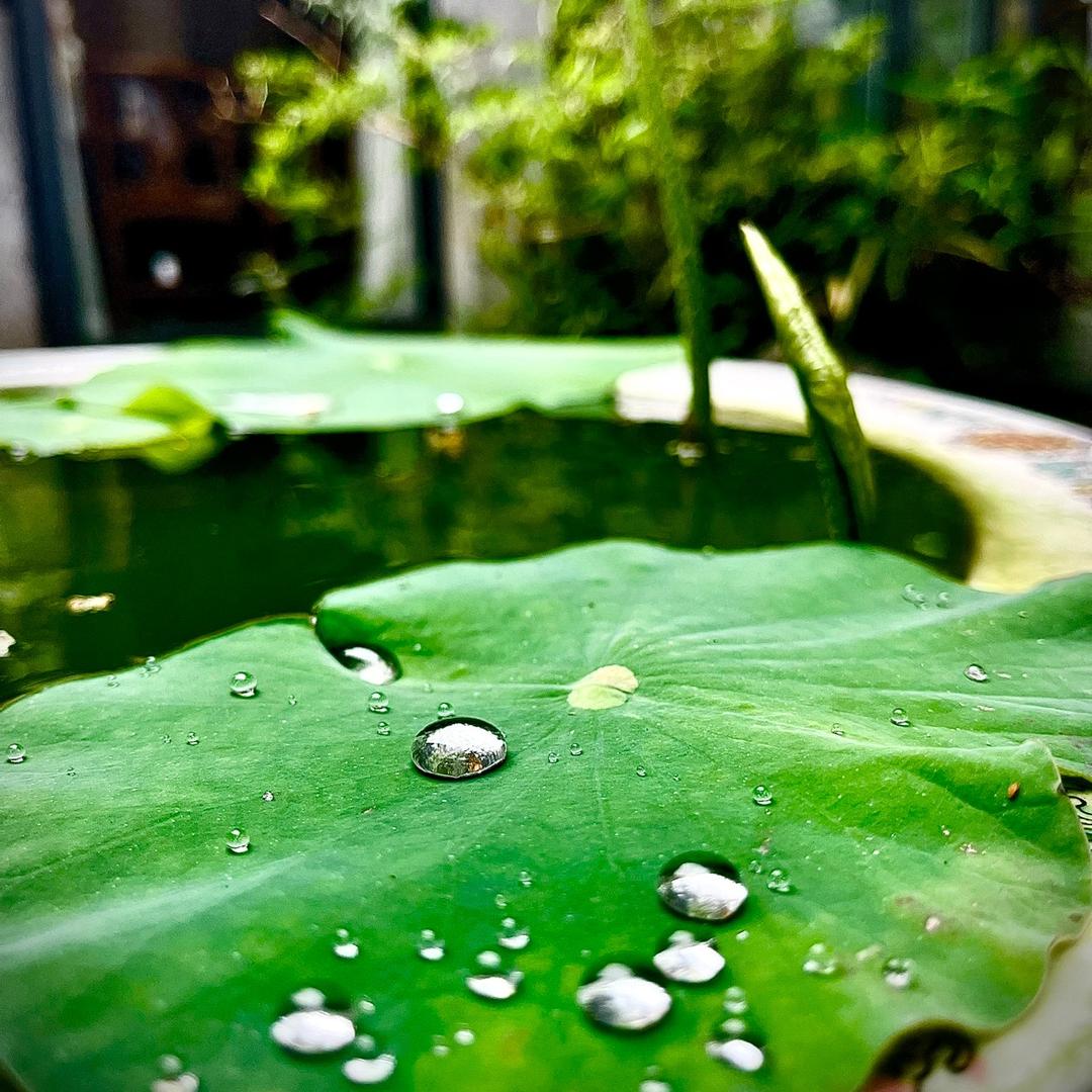 一切都是最好的安排。