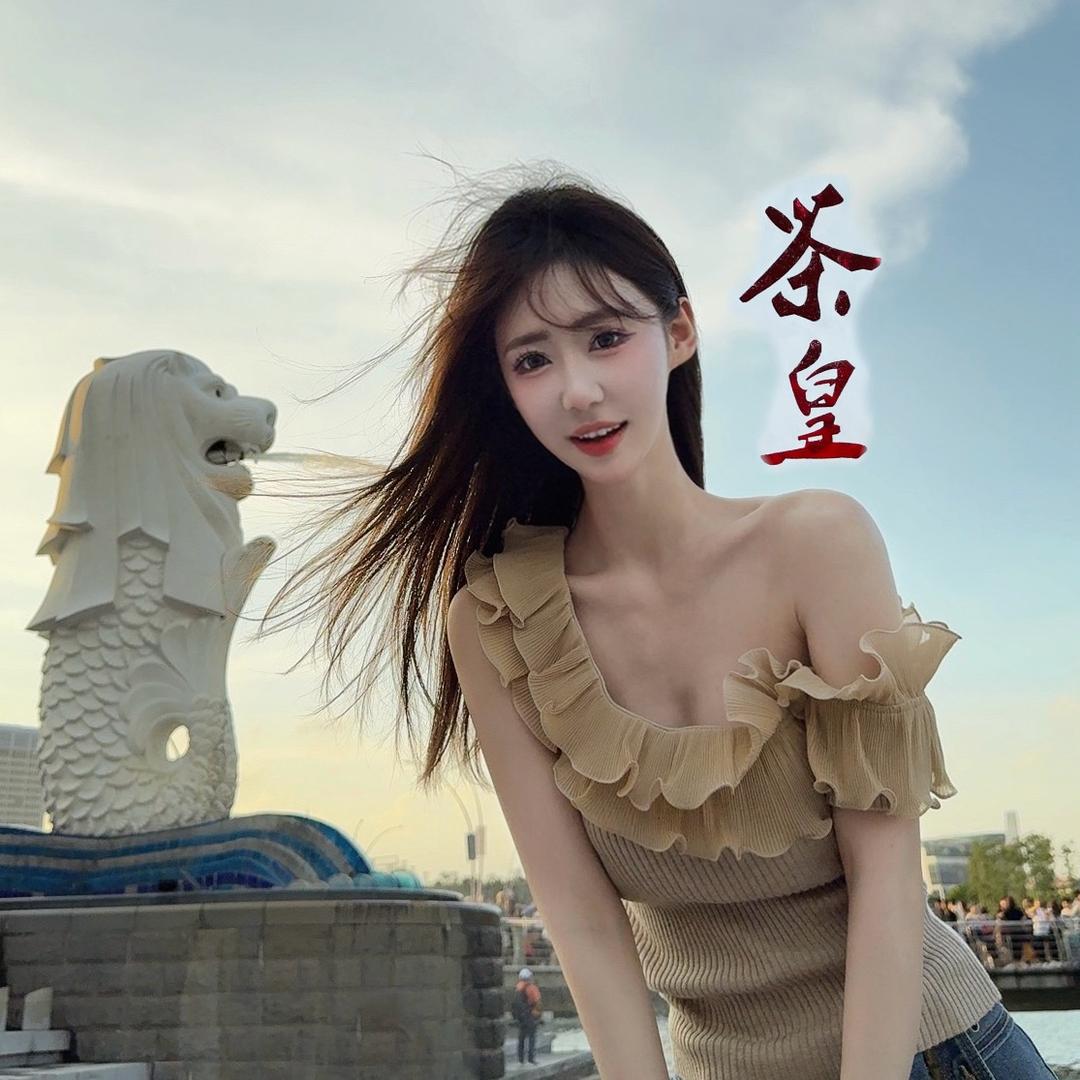 茶茶 （稳定版