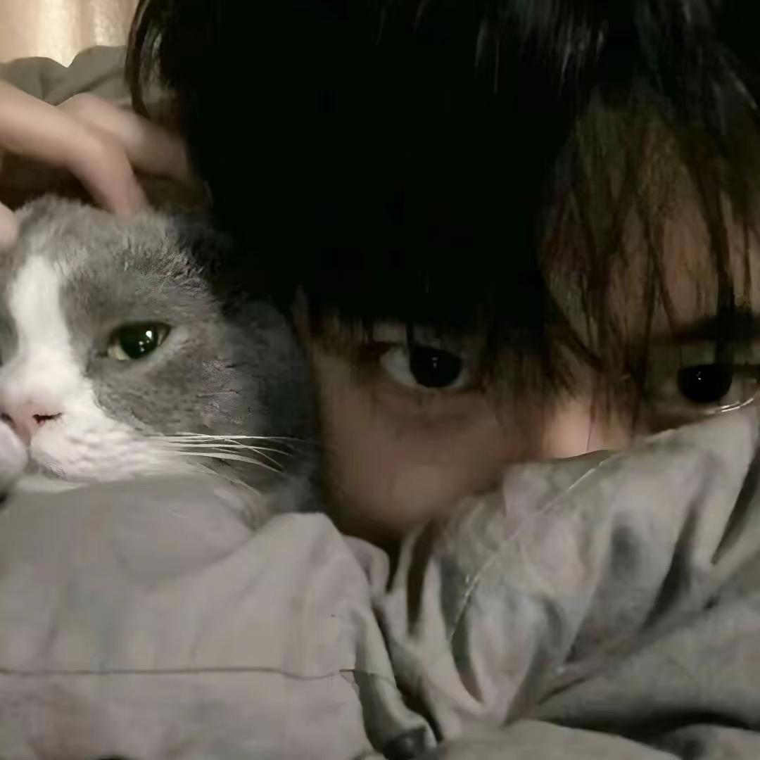 一段式