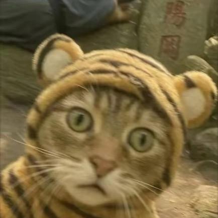 惊蛰:)头像