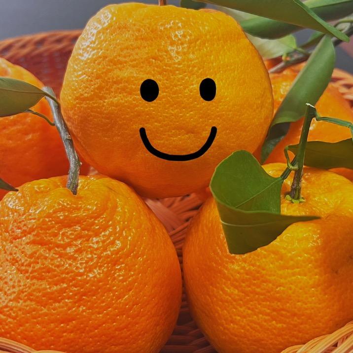 小邮的三农铺子