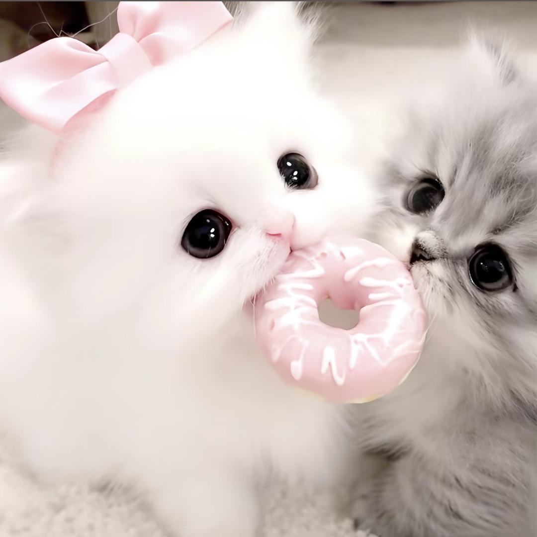 秋