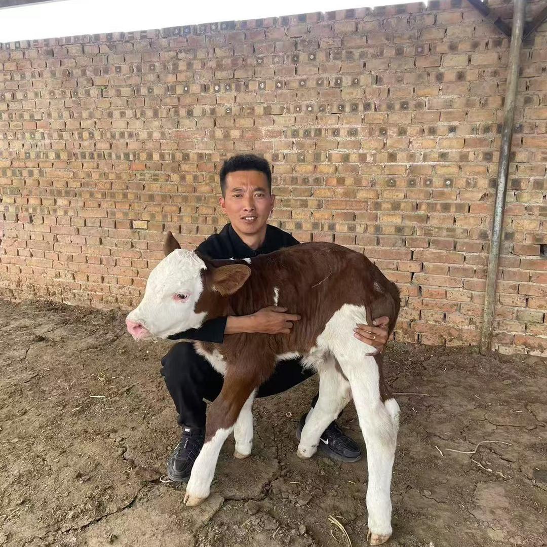 山西牛牛哥