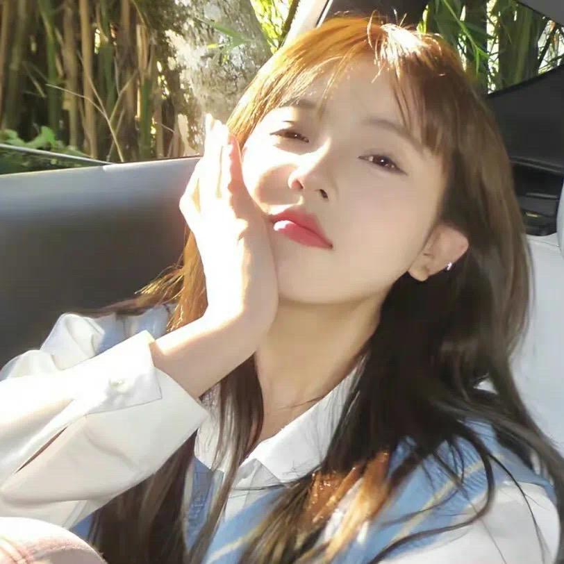 土豆条子爱吃土豆🥔（见过🦁版）