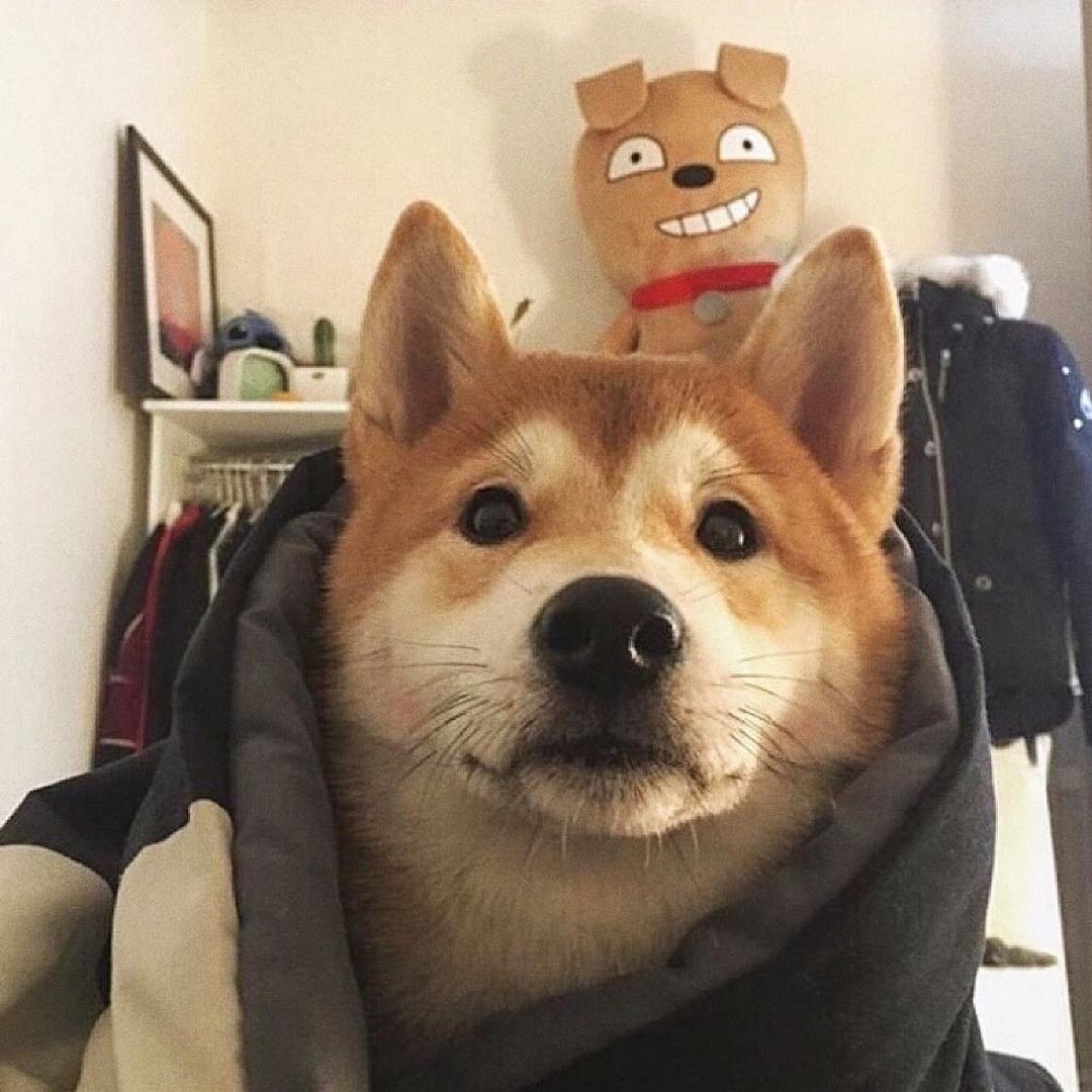 小博🌴