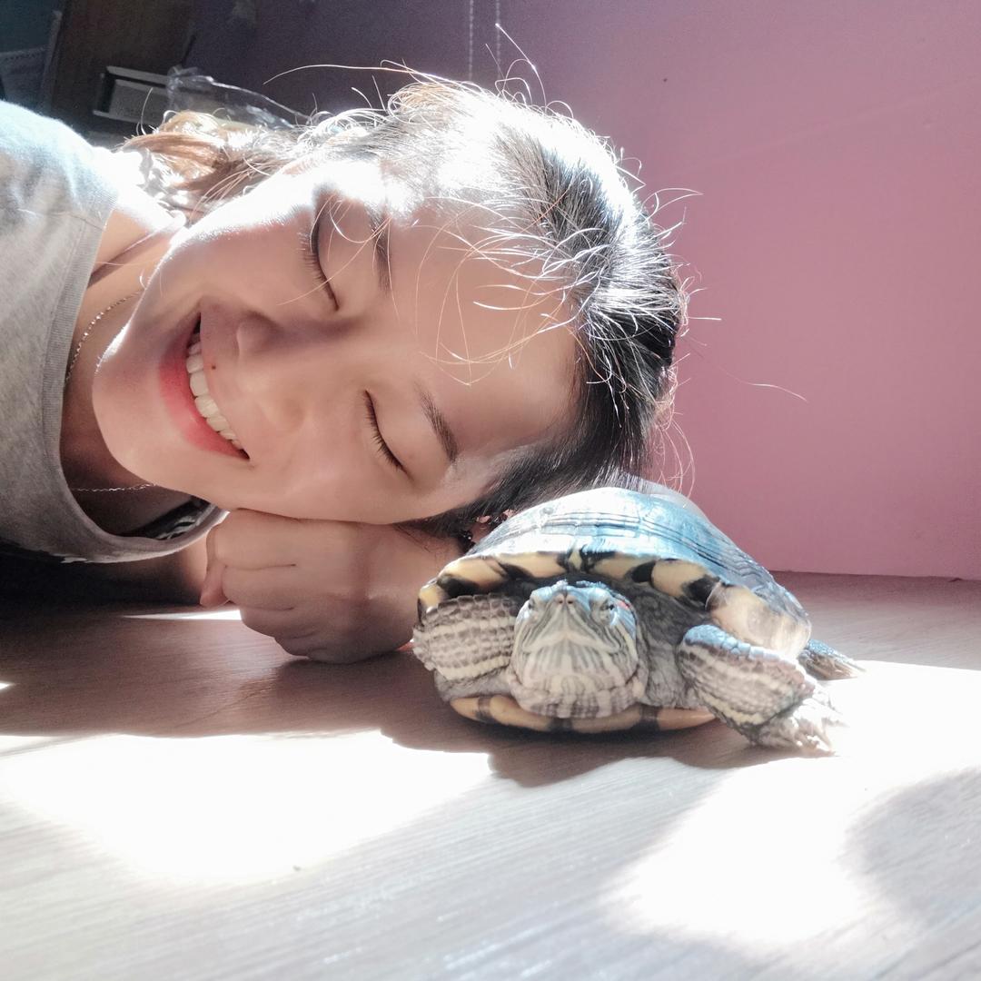 聪宝小宅