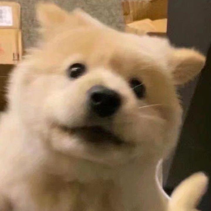 奥特曼不爱打架