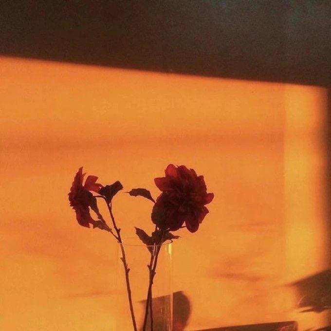 坟头开花