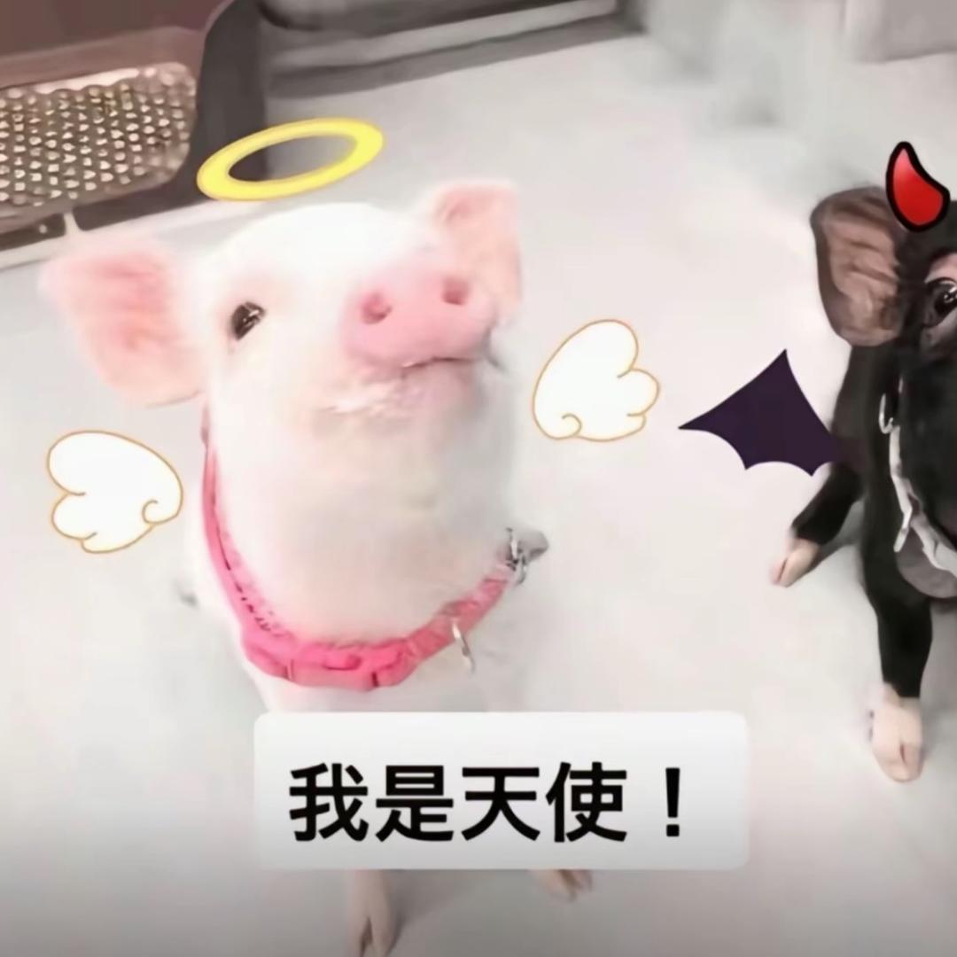 指南