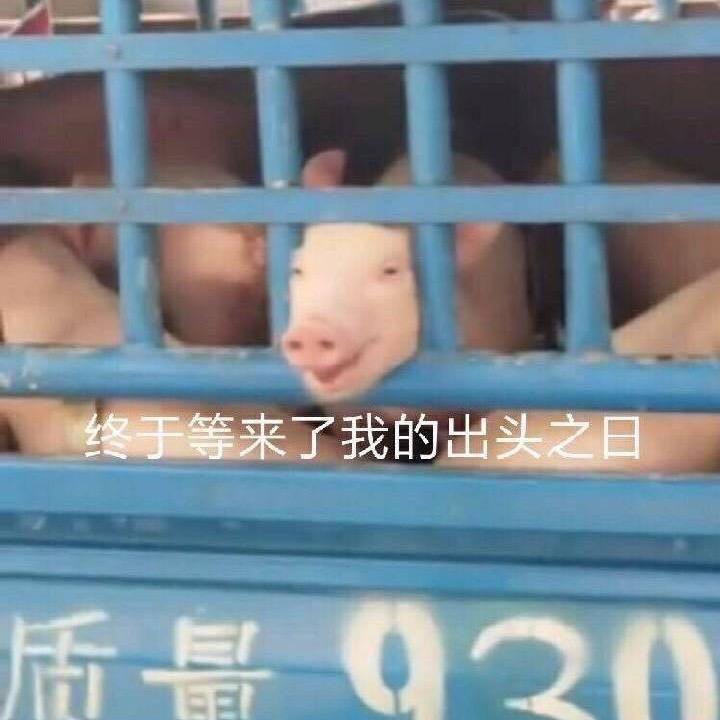 双双吃余姚