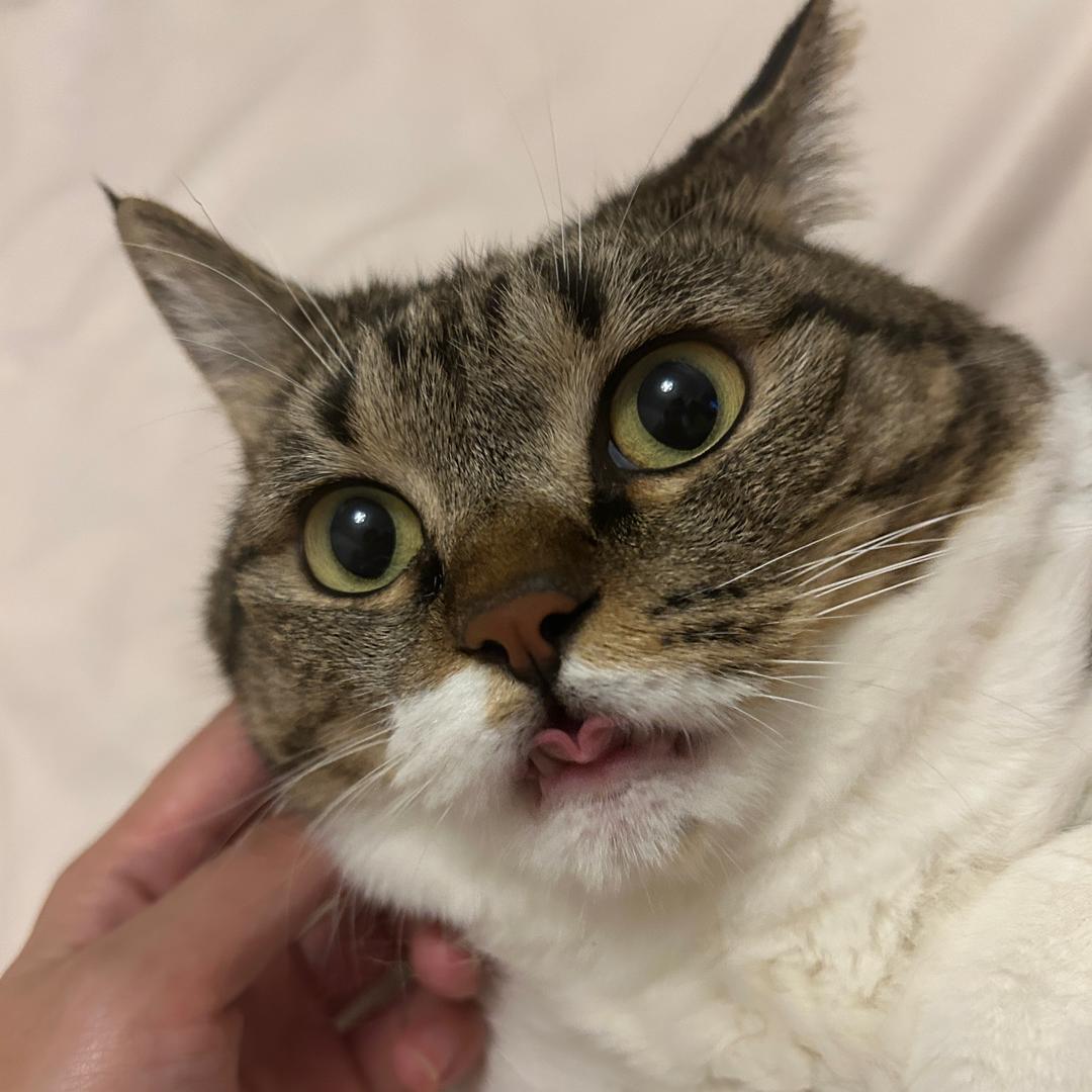 一安