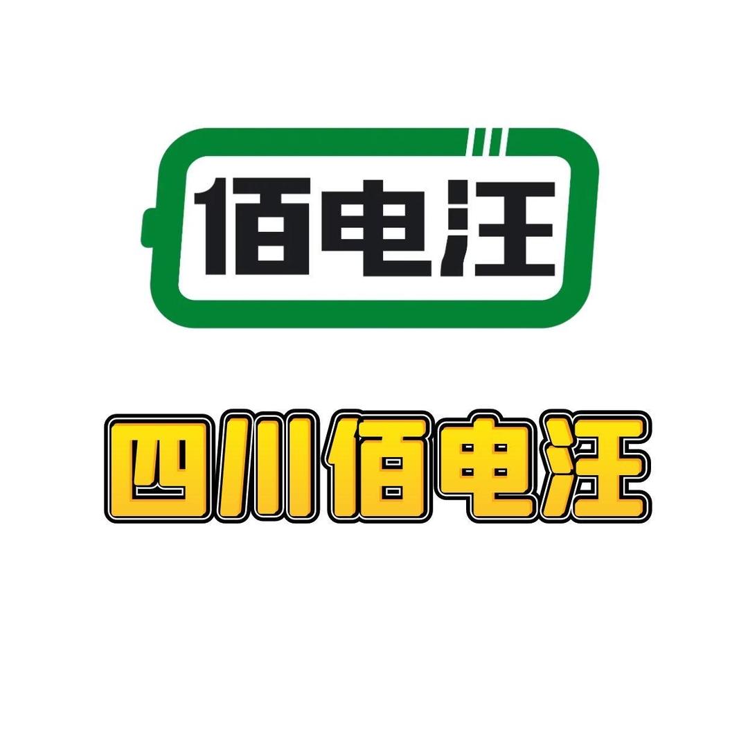 四川佰电汪新能源锂电池