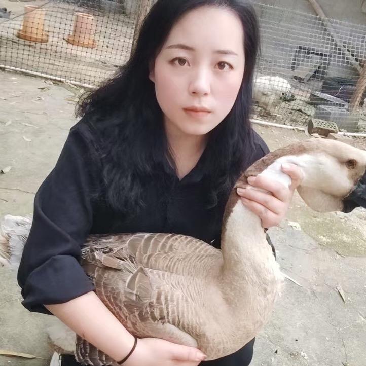壹居宠物生活坊