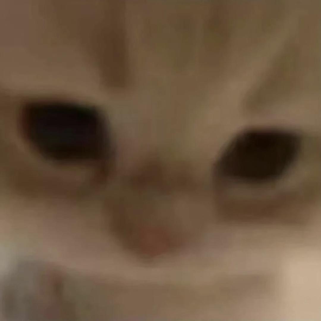 操