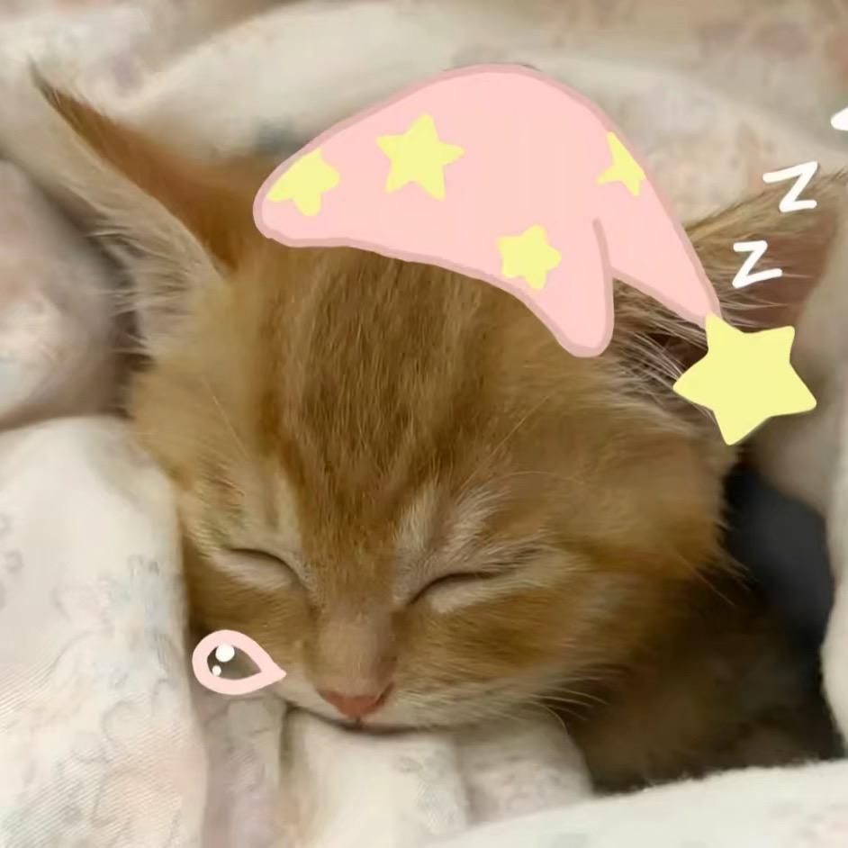ʚ狗屎大王ɞ