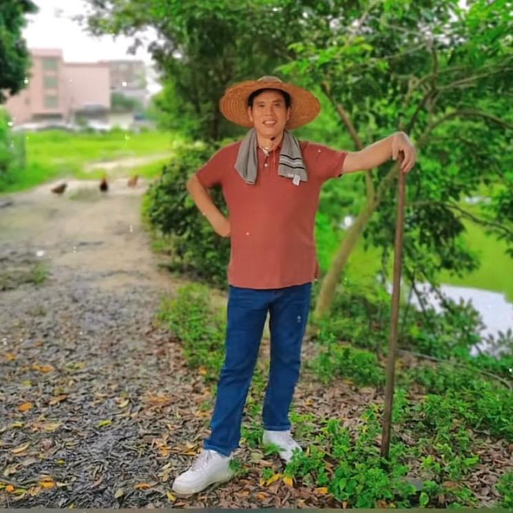 富贵竹道