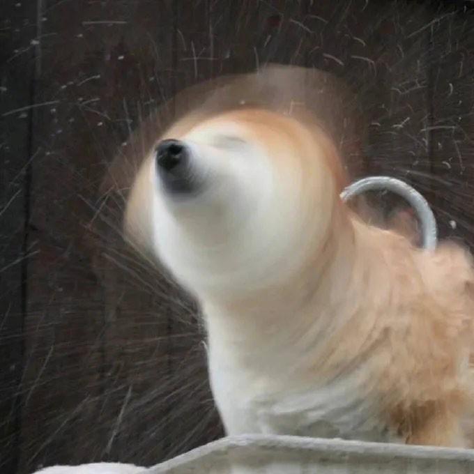 千放