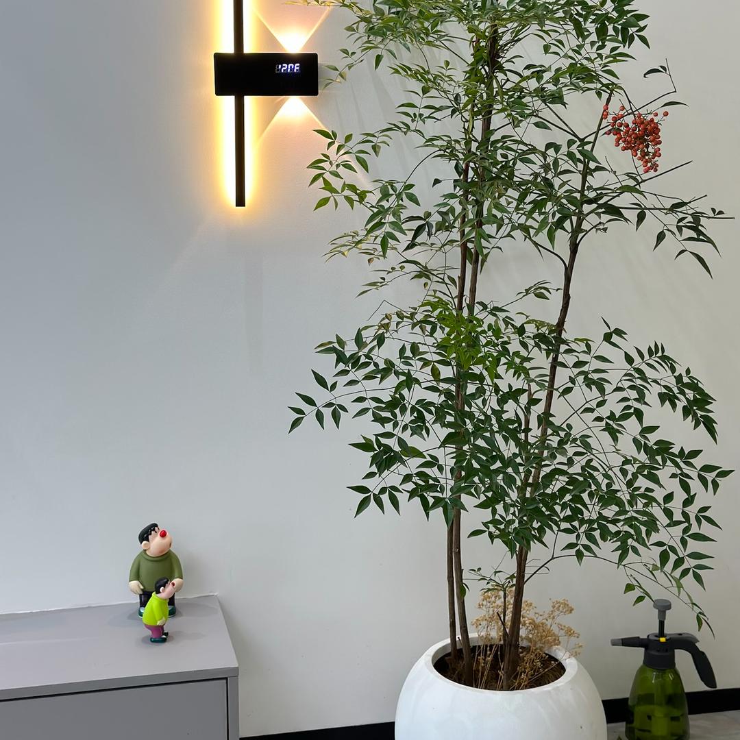 植与你花艺