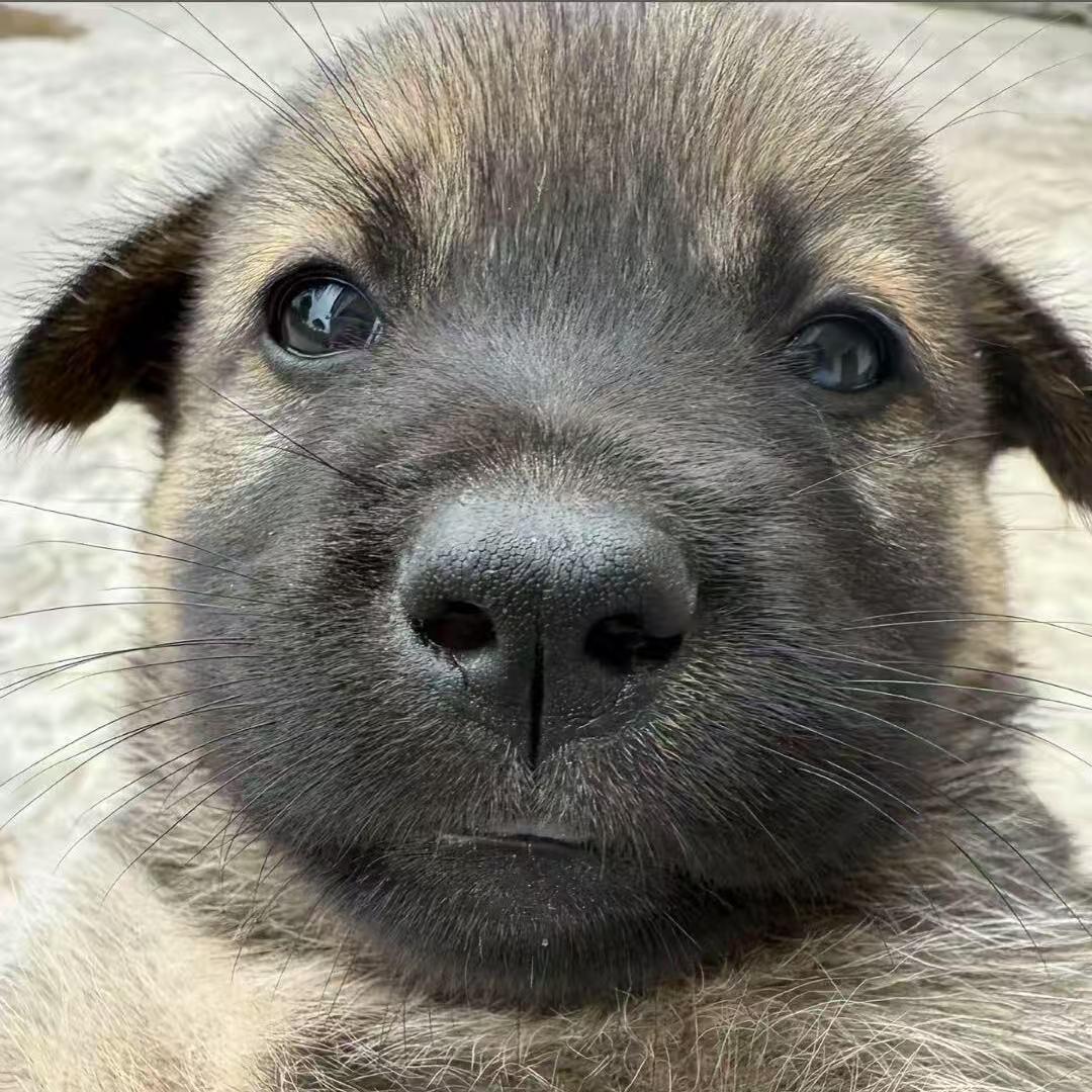726