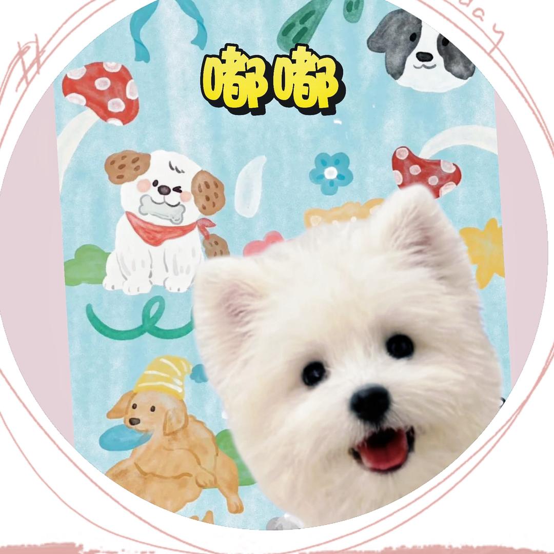 金嘟嘟