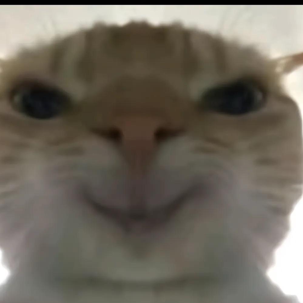 小样（三角洲行动）