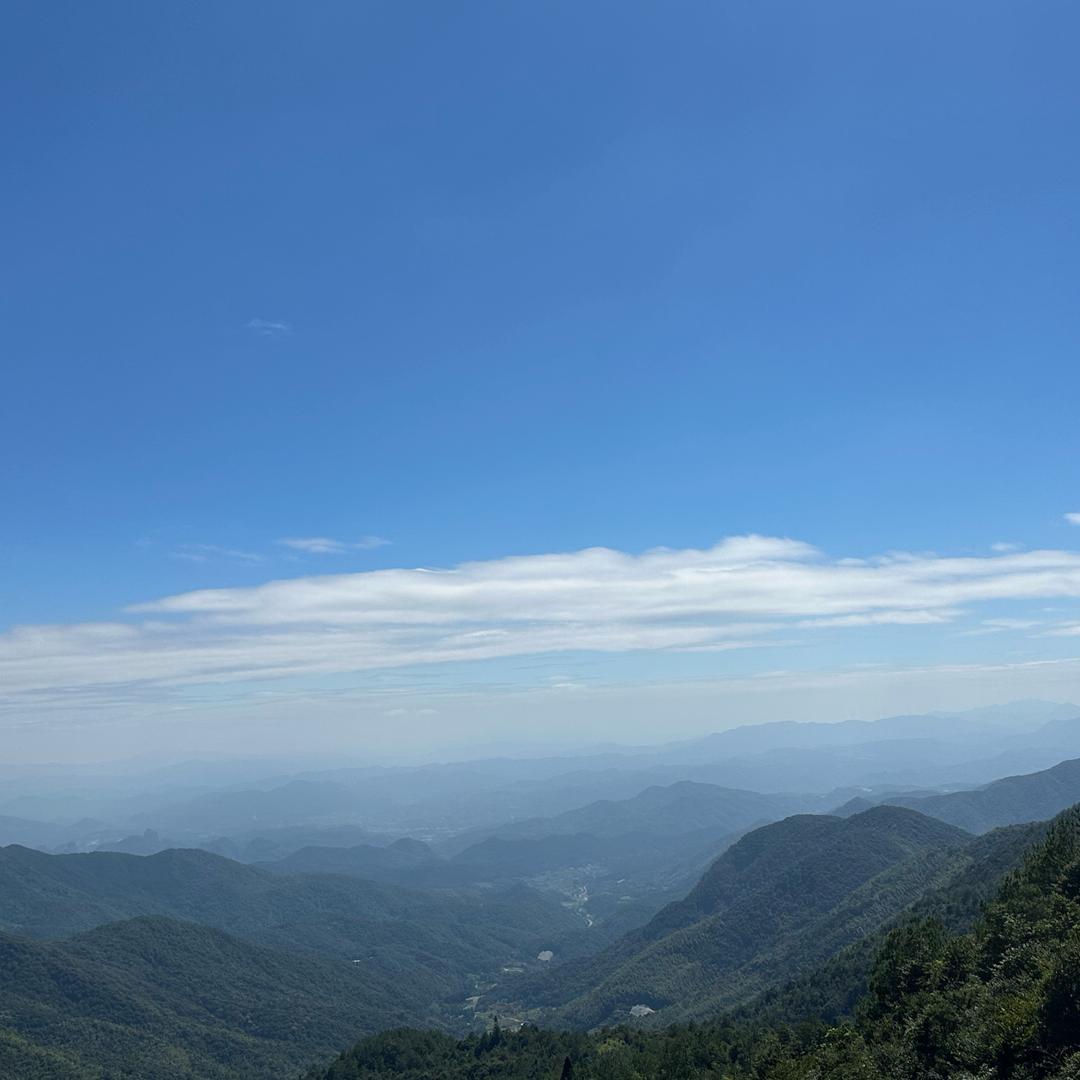 云游