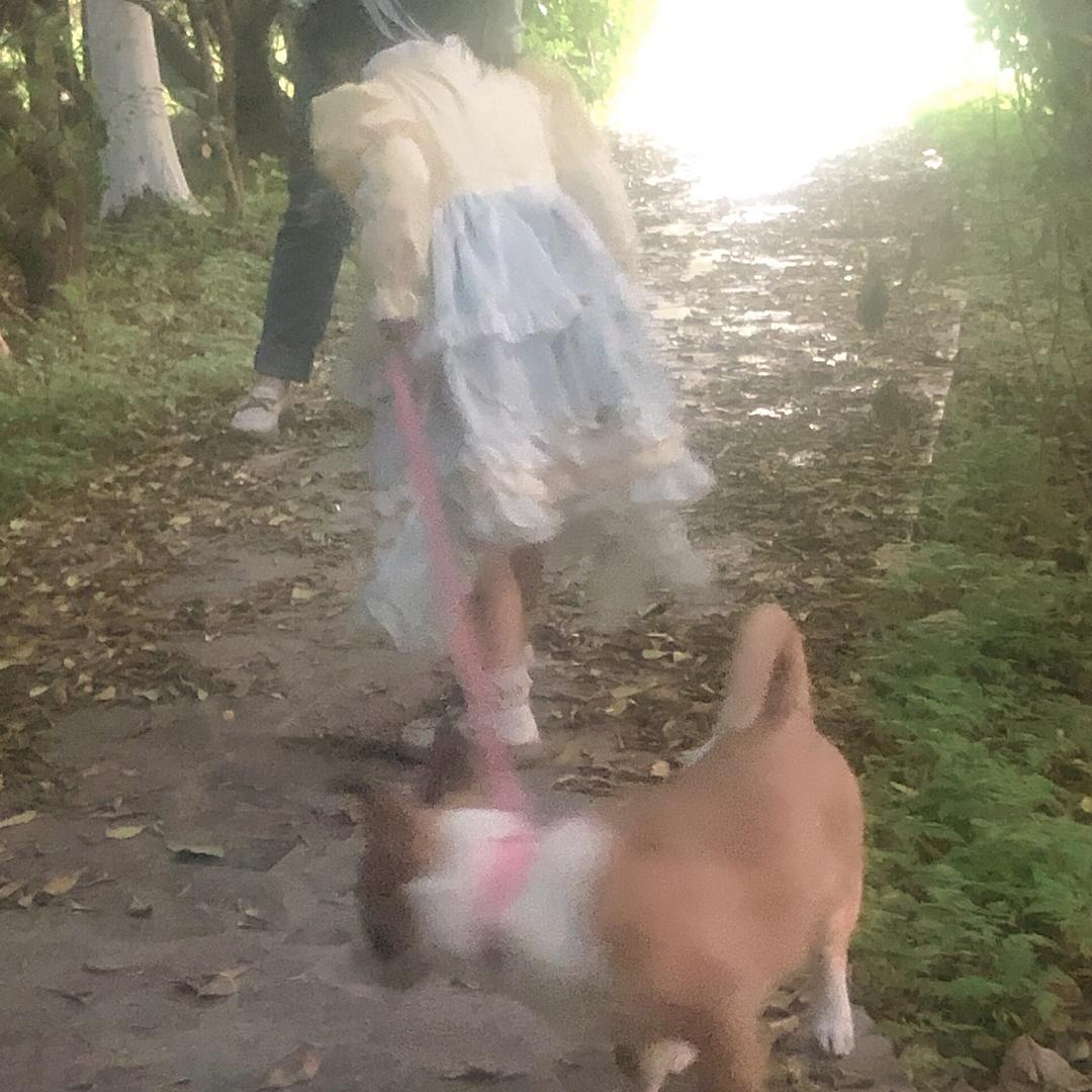 啊啊啊