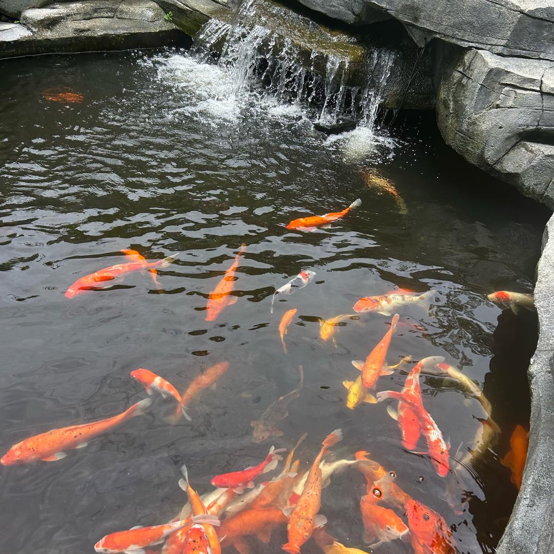 幸福快乐