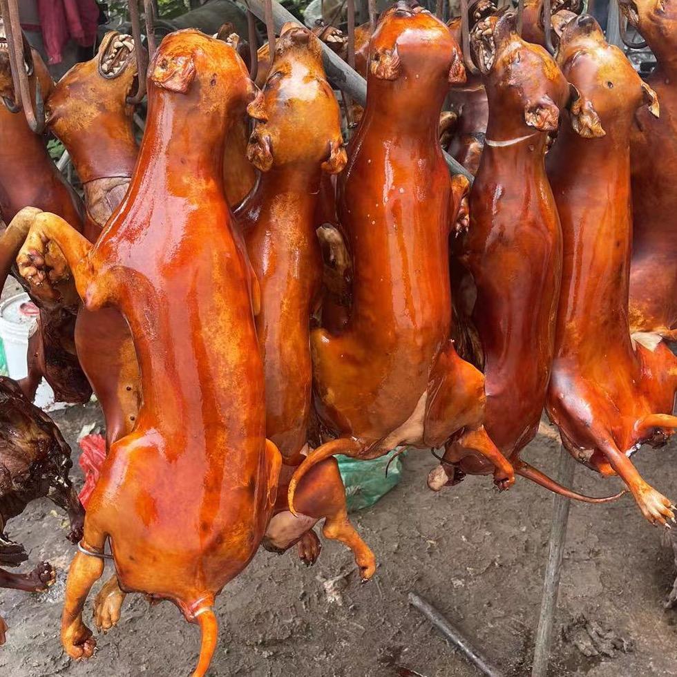 瘦弟砂锅美食店