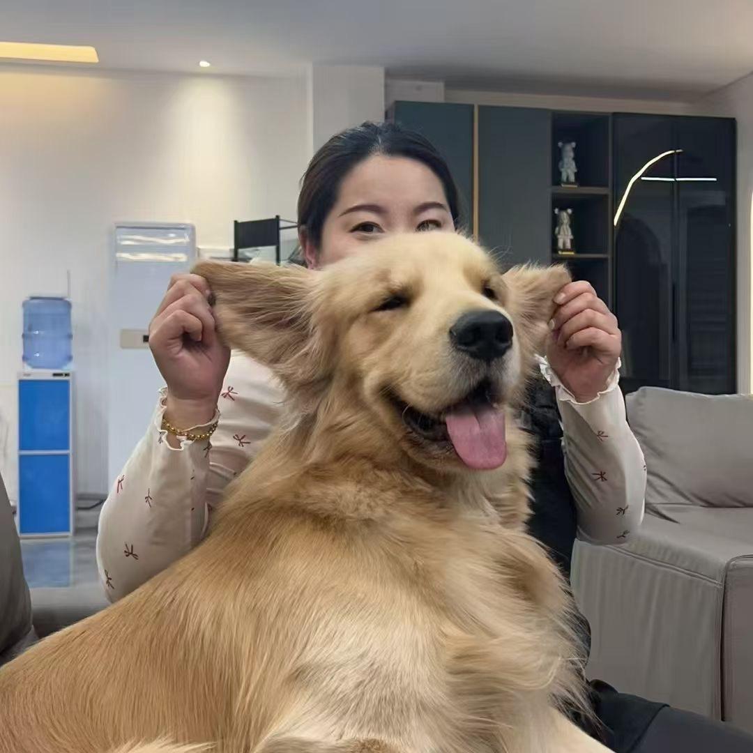 长春柏艺装修
