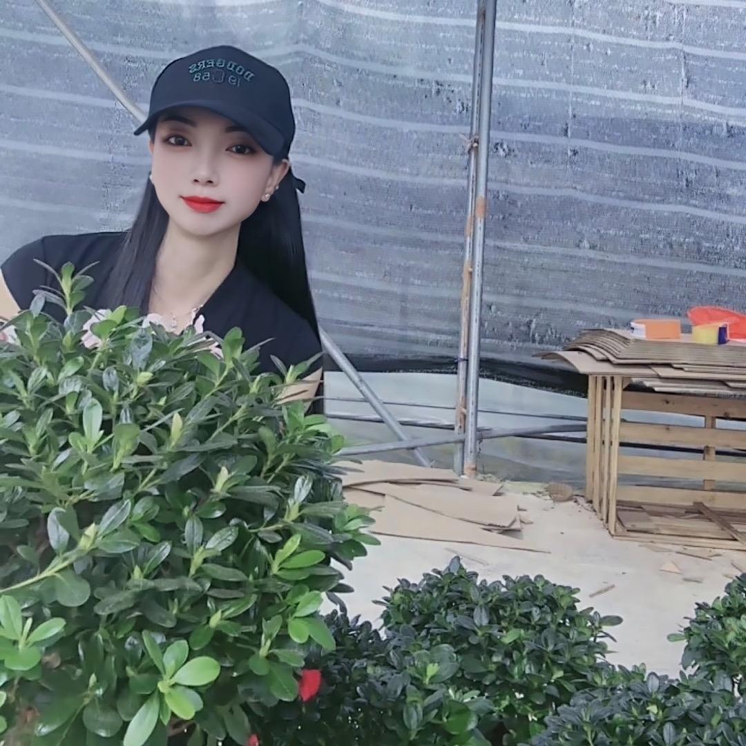 芬香园艺场