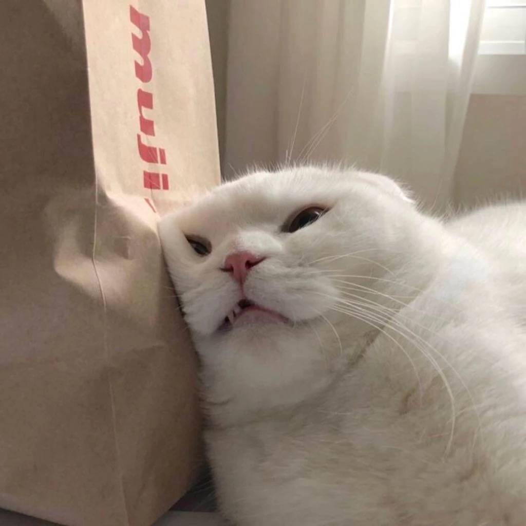 溪溪◡̈