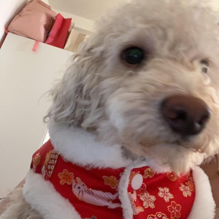 布洛芬.胶囊💊