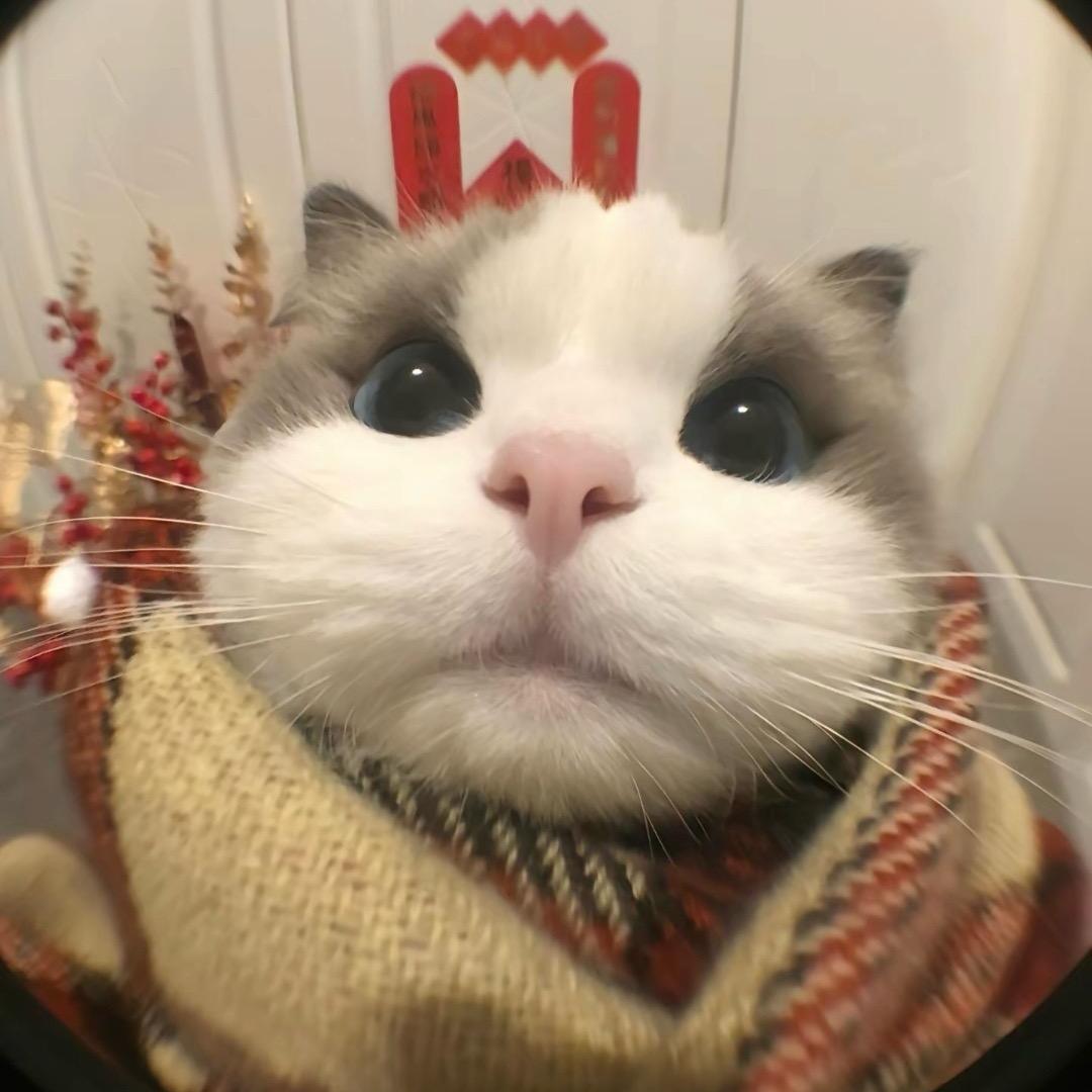 迩尔